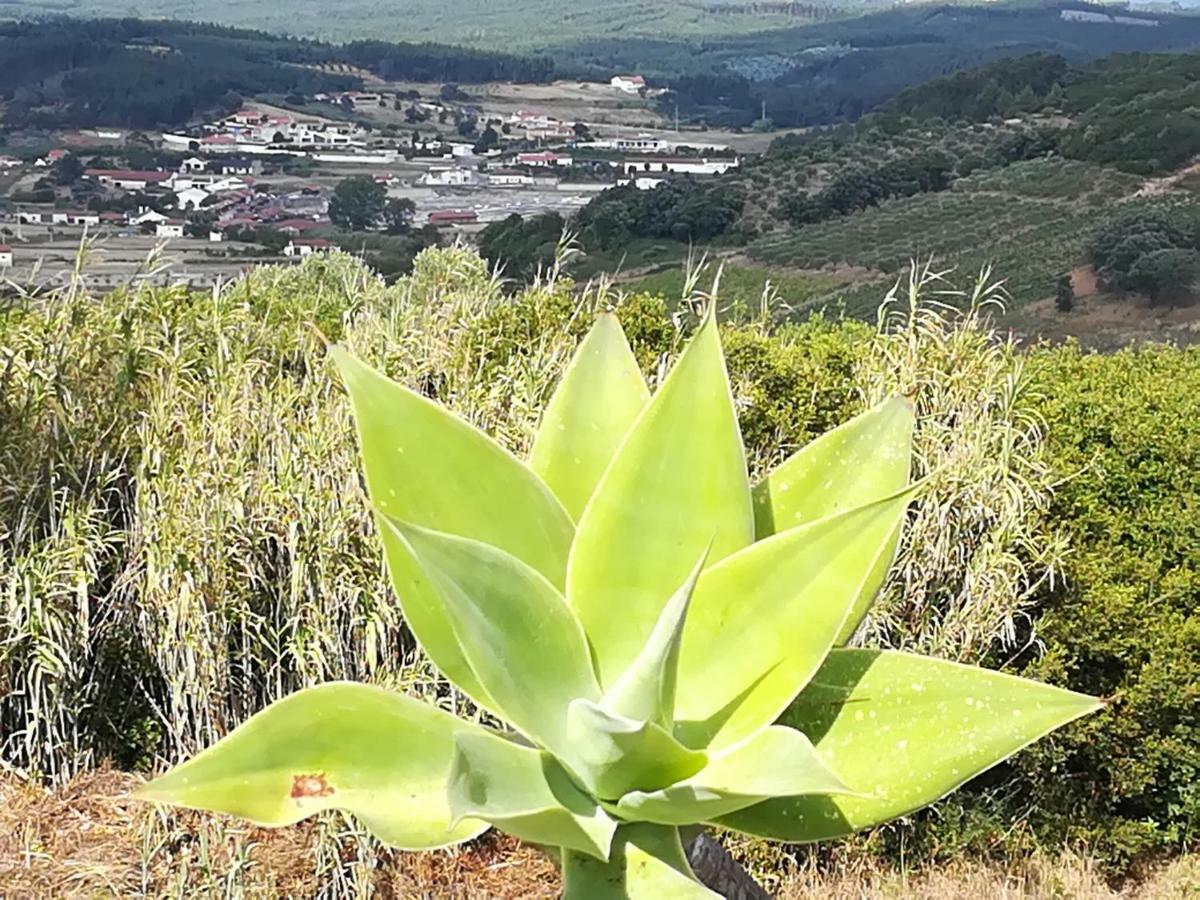 Casal Mala-Posta Villa Rio Maior Buitenkant foto